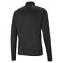 Puma Team Liga 25 Quarter Zip Top