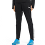 Puma Team Liga 25 Training Pant