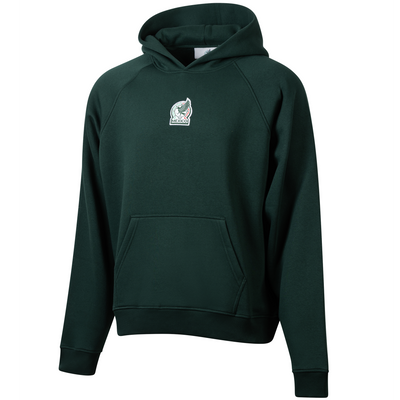 Mexico Men's Woven Badge Oversized Hoodie