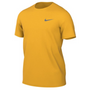 nike Team Dri Fit Legend Short Sleeve Tee
