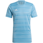 Camiseta adidas Campeón 21
