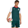 adidas Men's Mexico Away Pre-Match Jersey