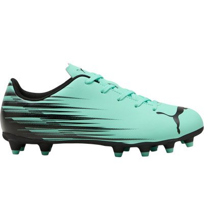 Puma Youth Attacanto II FG/AG