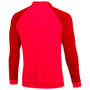 Chaqueta deportiva Nike Dri-Fit Academy Pro