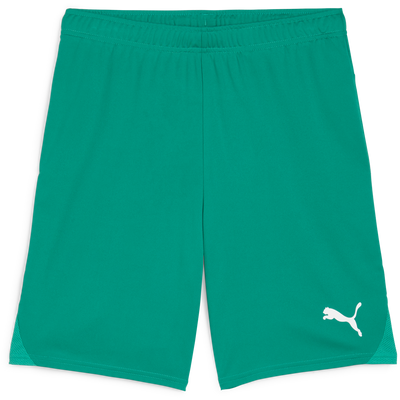 Puma TeamGOAL Short