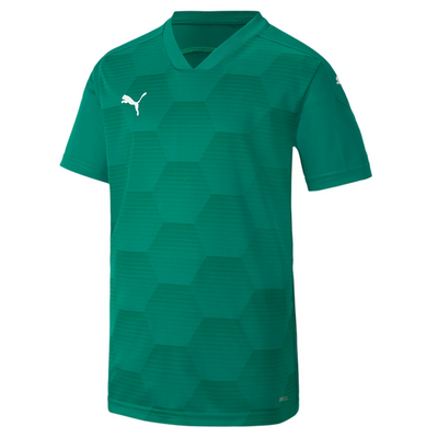 Puma TeamFinal 21 Graphic Jersey