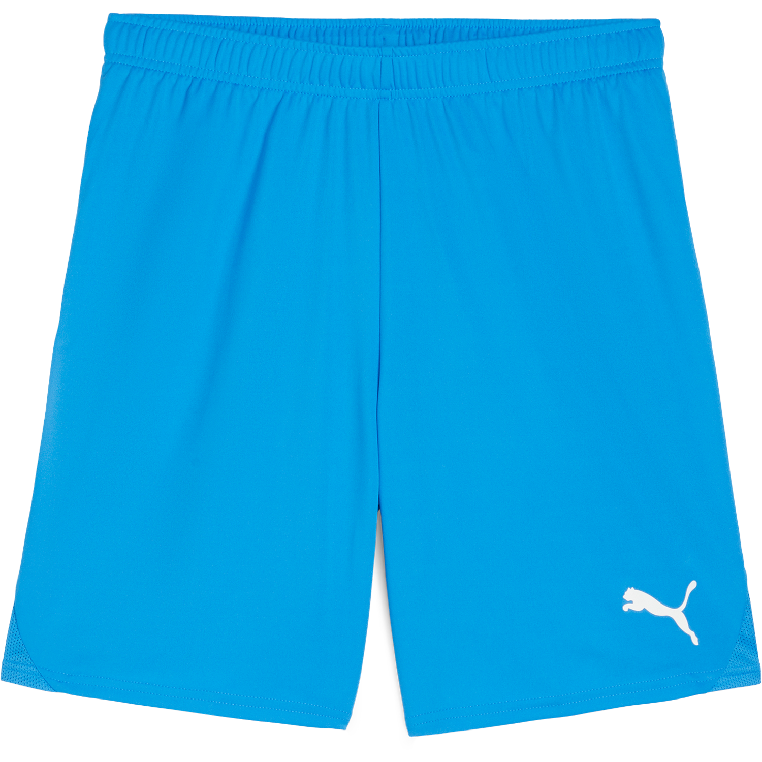 Pantalón corto Puma TeamGOAL