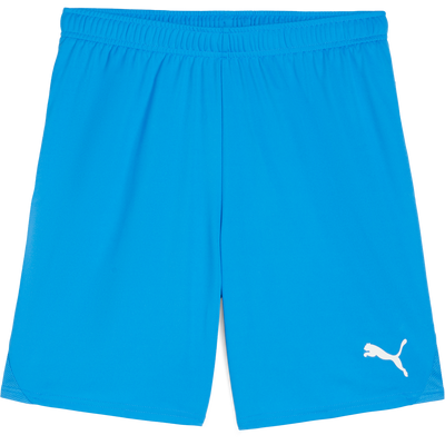 Puma TeamGOAL Short