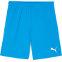 Pantalón corto Puma TeamGOAL