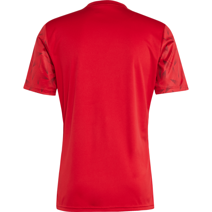 adidas Team Icon 25 Short Sleeve Jersey