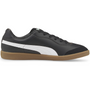 puma King 21 Indoor