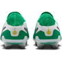 nike Tiempo Legend 10 Elite FG Fear Nothing Pack