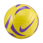 Nike Pitch Training Ball