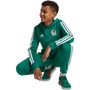 Sudadera con capucha adidas México Youth DNA