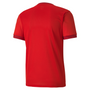 Camiseta Puma TeamGoal 23