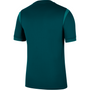 Camiseta Nike de local para hombre de Nigeria 2025