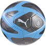 Baile cultural Puma del Manchester City