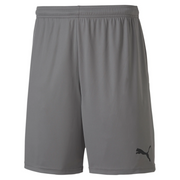 Puma TeamGoal 23 Knit Short