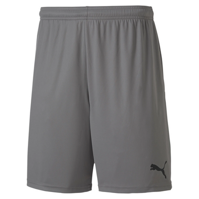 Puma TeamGoal 23 Knit Short