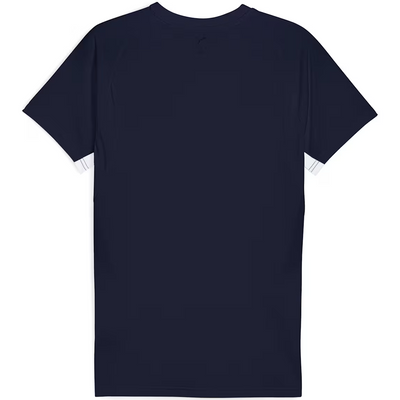 Puma Monterrey Men's Evostripe Tee