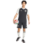 adidas Men's Japan Away Pre-Match Jersey