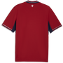 Puma Czech 2026 Men's Home Stadium Jersey