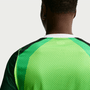 Nike Mens Nigeria Home 2026 Stadium Jersey