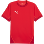 puma Teamfinal Jersey