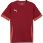 Puma TeamGOAL Matchday Jersey