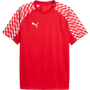 Puma teamLIGA 26 Jersey