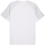 Puma teamLIGA 26 Jersey