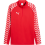 Puma teamLIGA 26 Quarter-Zip Training Top