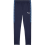 Puma teamLIGA 26 Training Pant