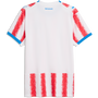 Puma Men's Paraguay Home 2026 Authentic Match Jersey