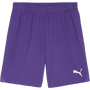 Pantalón corto Puma TeamGOAL