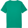 Puma teamFINAL Graphic Jersey