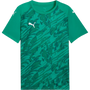 Puma teamFINAL Graphic Jersey