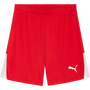 Puma teamLIGA 26 Shorts