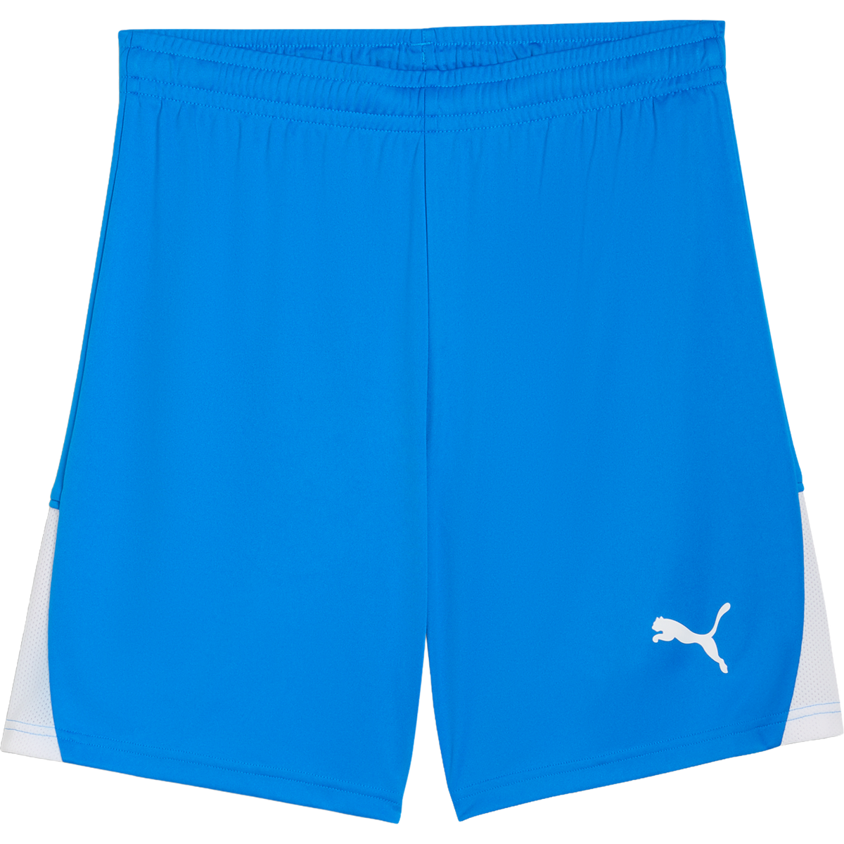 Puma teamLIGA 26 Shorts