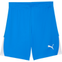 Puma teamLIGA 26 Shorts
