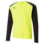 puma Team Pacer Goalkeeper Jersey