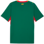 Puma Men's Senegal Away 2026 Stadium Jersey
