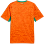 Puma Men's Ivory Coast Home 2026 Stadium Jersey