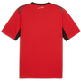 Puma Men's Egypt Home 2026 Stadium Jersey