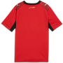 Puma Youth Egypt Home 2026 Stadium Jersey