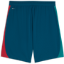 Puma Men's Portugal Training Pocket Shorts