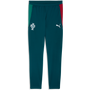 Puma Men's Portugal Training Pants