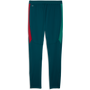 Puma Men's Portugal Training Pants