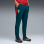 Puma Men's Portugal Training Pants