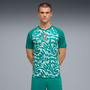Puma Men's Portugal Green Warm-Up Jersey